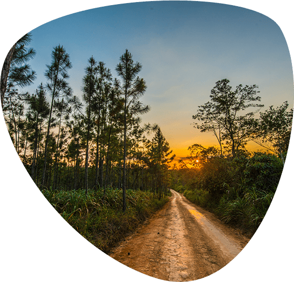 about belize