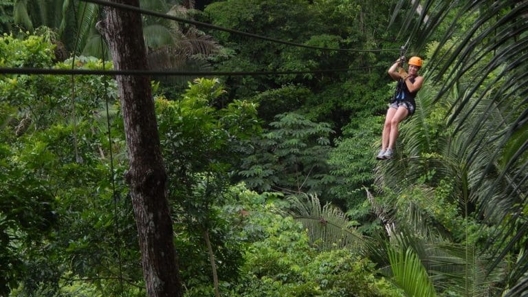Zipline3
