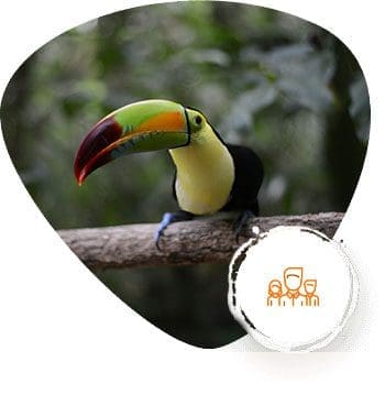 Belize Zoo Expedition