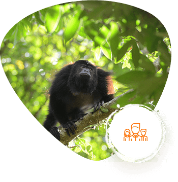 Baboon Sanctuary Excursion