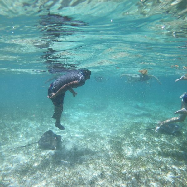 DCIM100GOPROGOPR7694.JPG