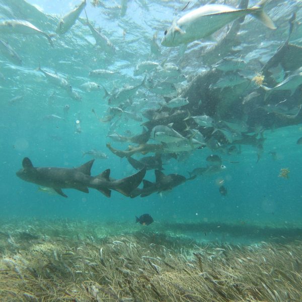 DCIM100GOPROGOPR7793.JPG