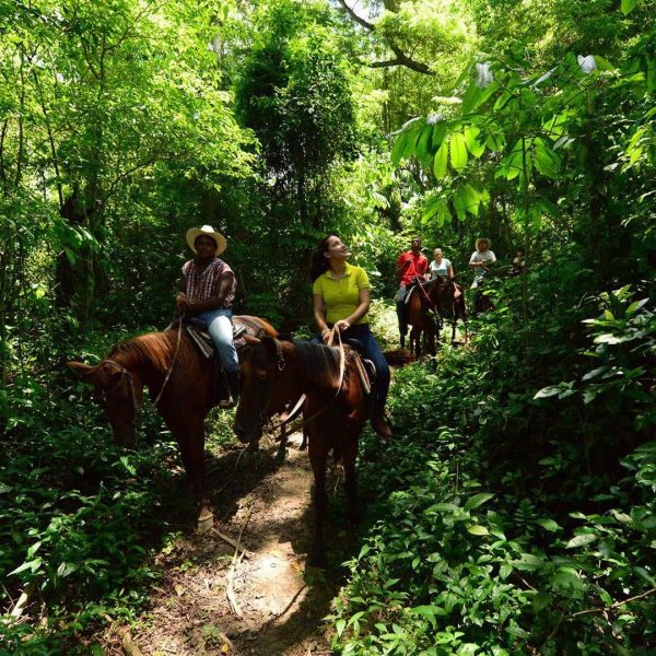 Horsebackriding2