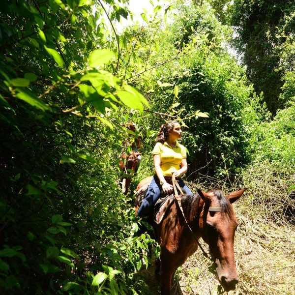 Horsebackriding4