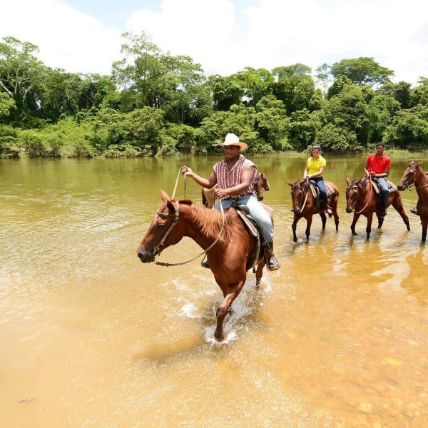 Horsebackriding5