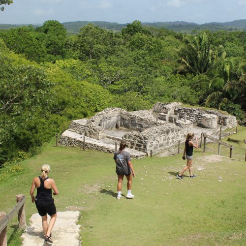 Xunantunich_bluemorpho