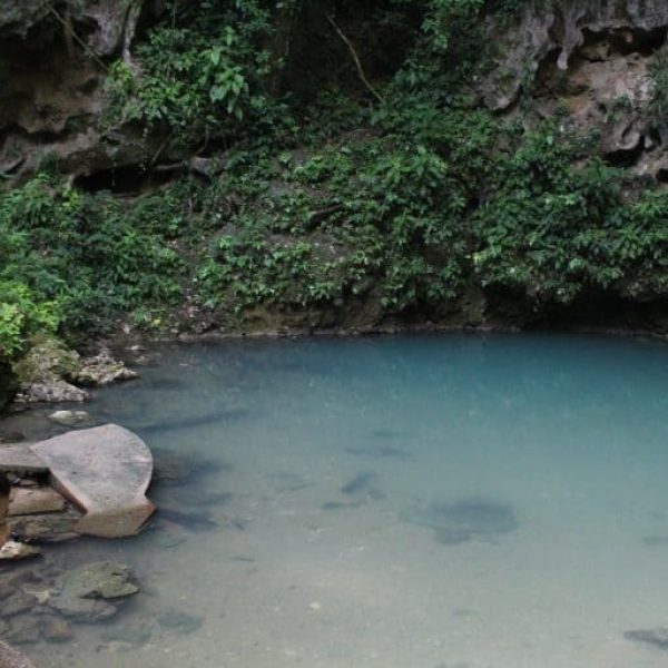refreshing waters