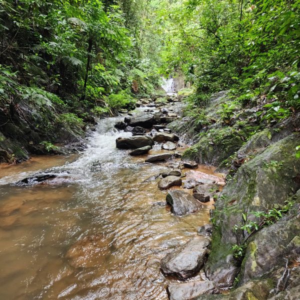 St. Herman’s National Park
