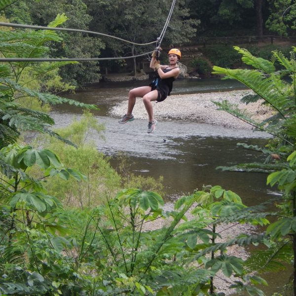 zip line